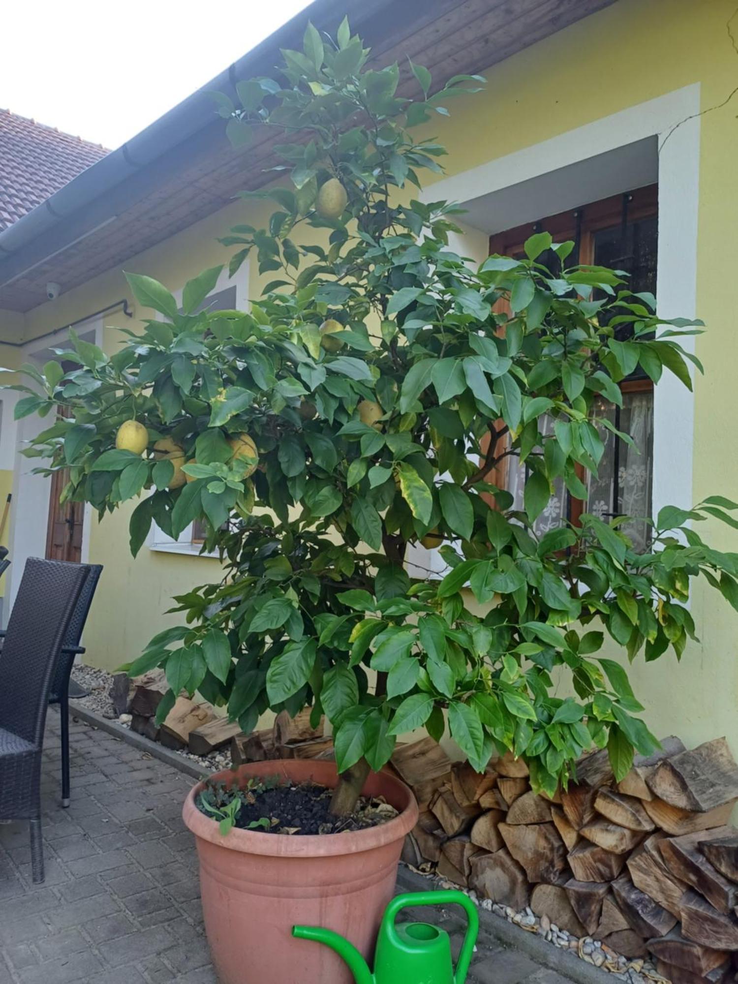 Apartamento Zanati Apartmannház